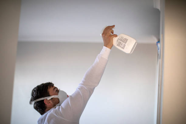 Best Bathroom Mold Remediation in Fulton, MO