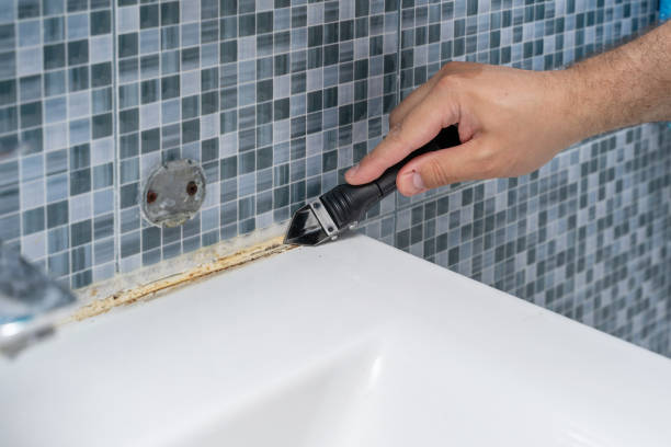 Best Post-Flood Mold Remediation in Fulton, MO