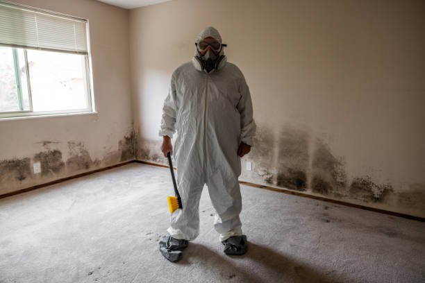 Trusted Fulton, MO Mold Remediation Experts